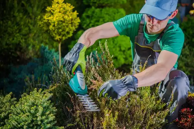 landscaping services Doniphan
